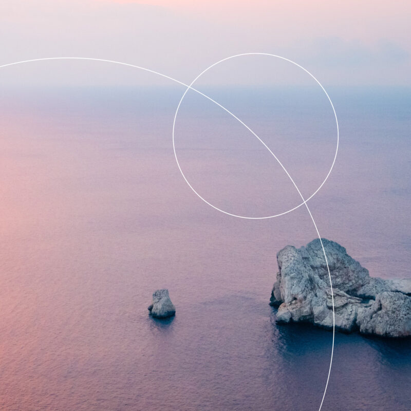 PLU Website Ho E Main 10