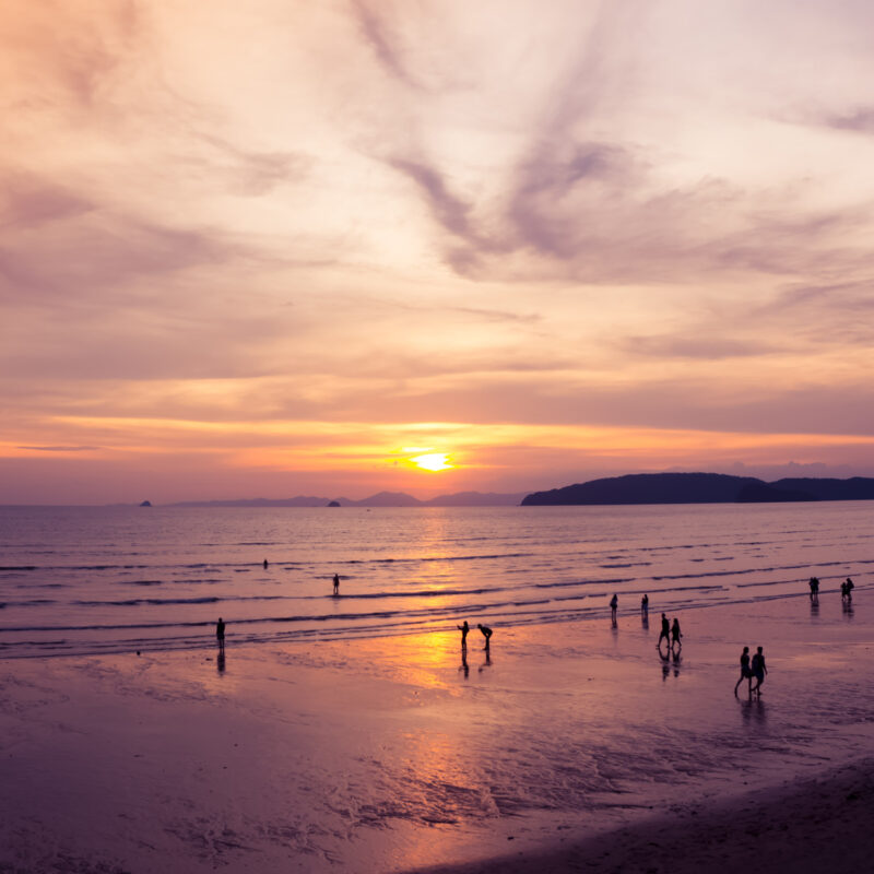 PLU Website Sojournal Main 6