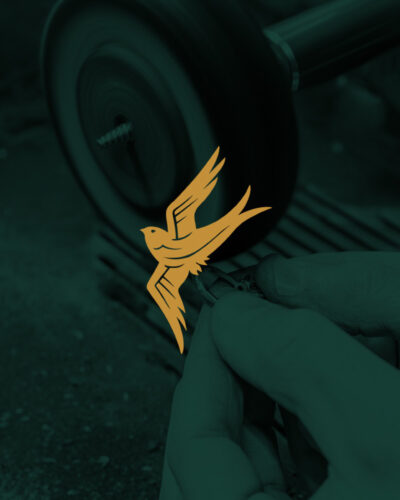 FS Thumbnail P 1